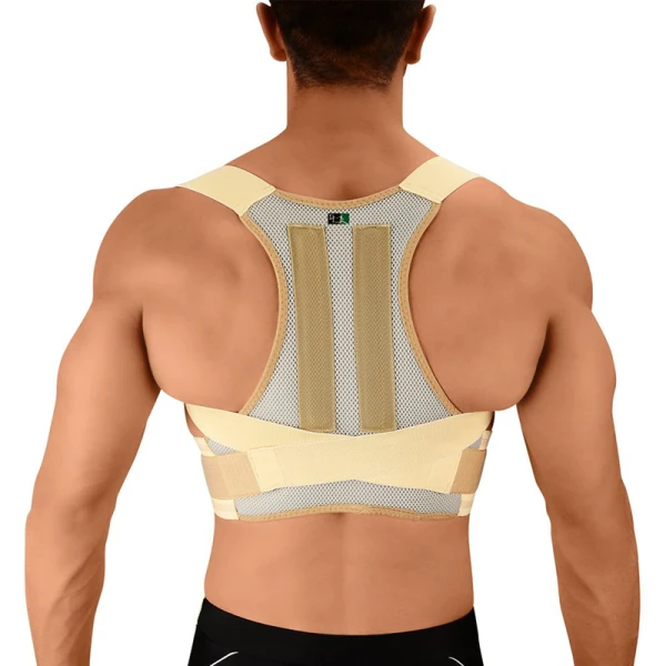 قوز بند پل دار