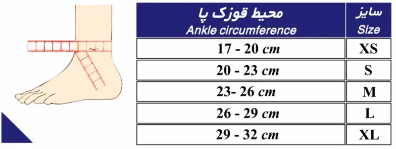 1.webp
